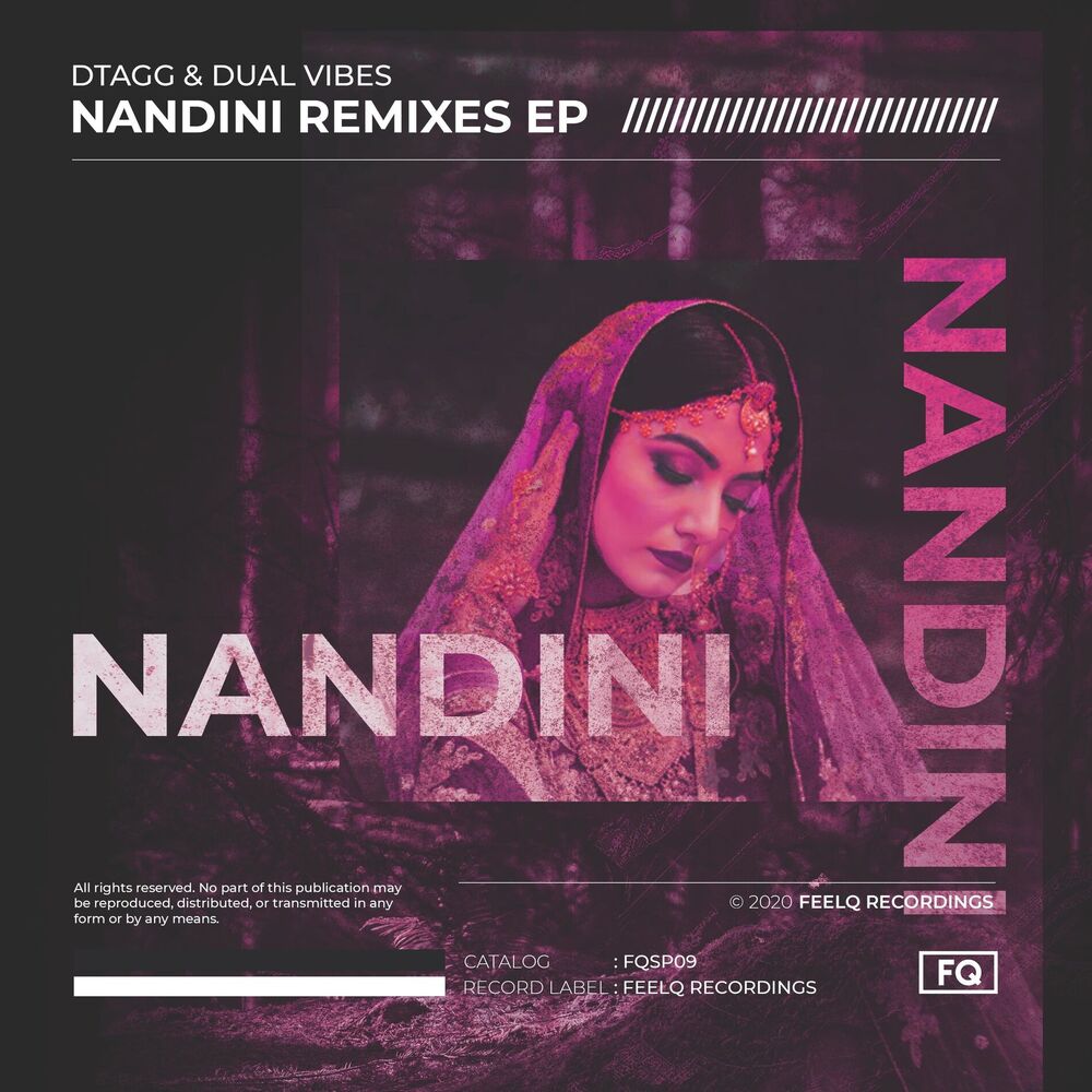 Picture of Nandini - LUJANO Remix