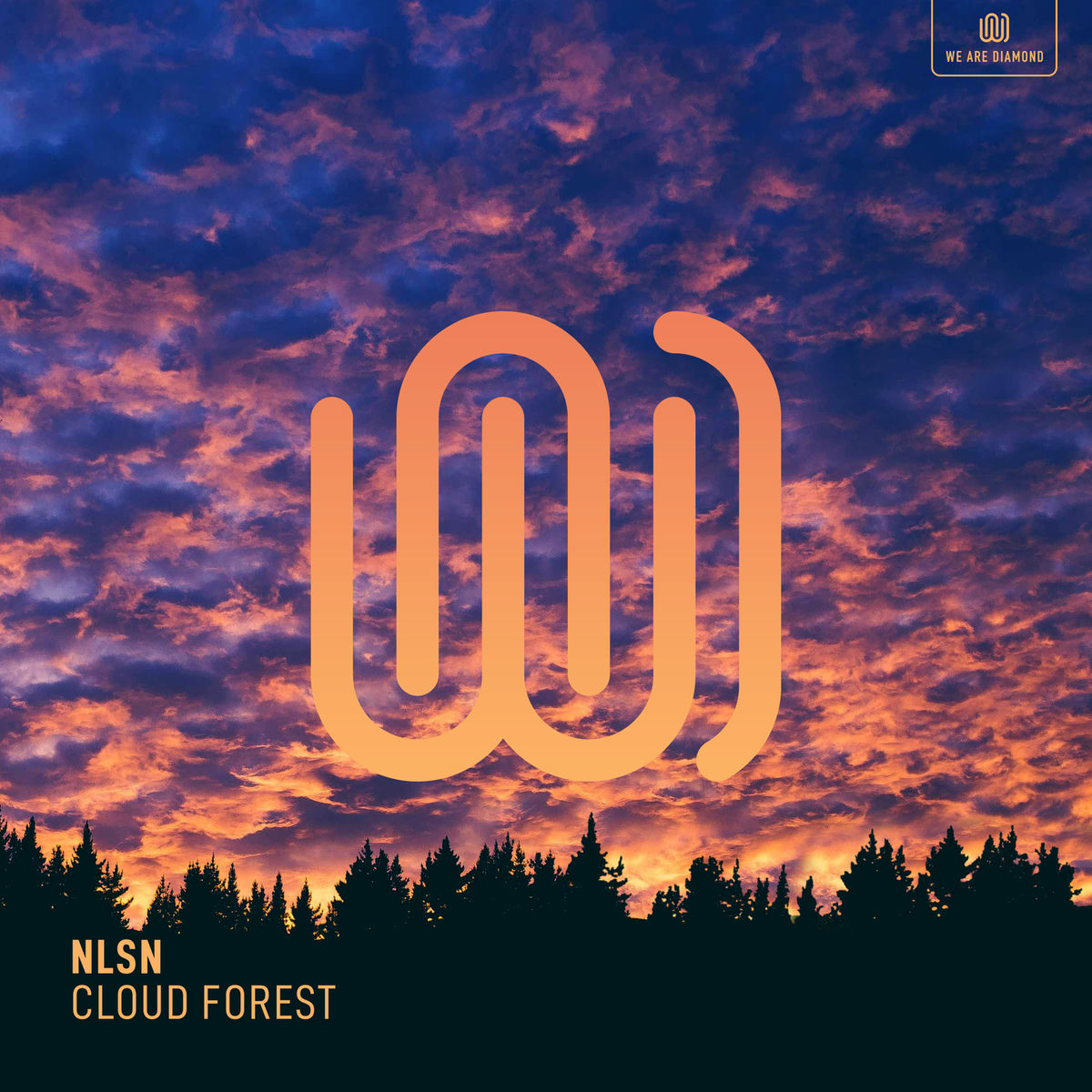 Album cover of Cloud Forest