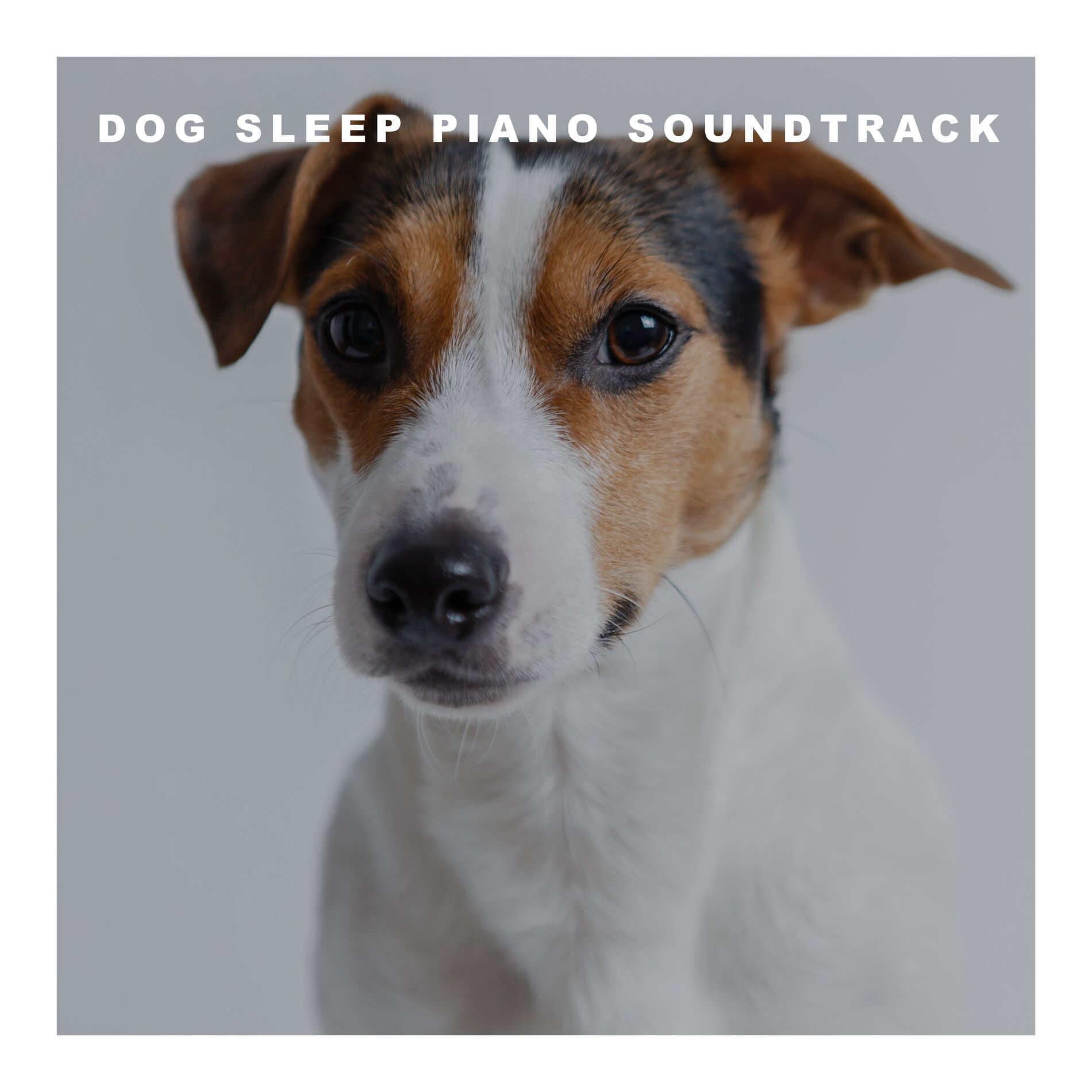 Album cover of Dog Sleep Piano Soundtrack