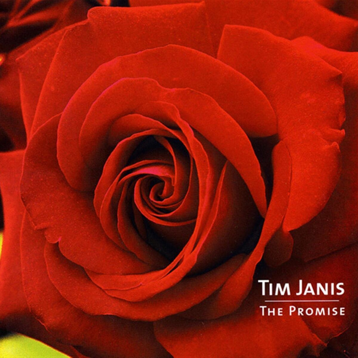 Album cover of The Promise