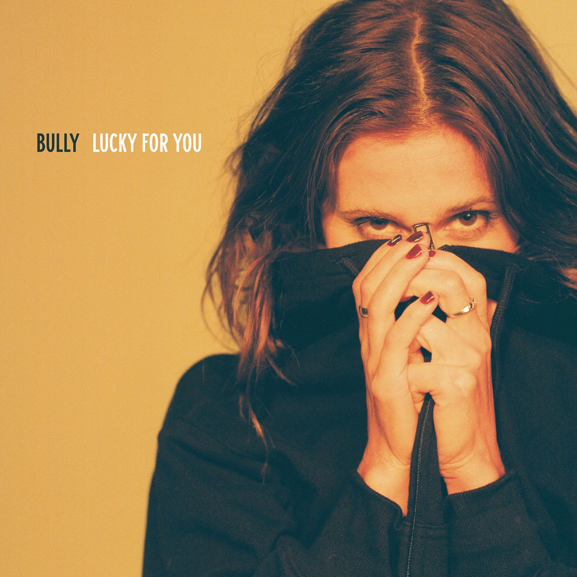 Bully store - oop cover