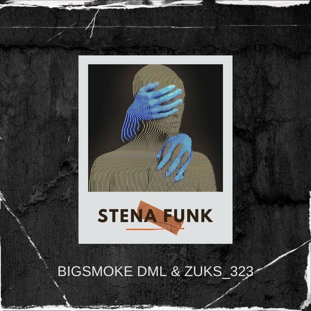 Picture of Stena Funk