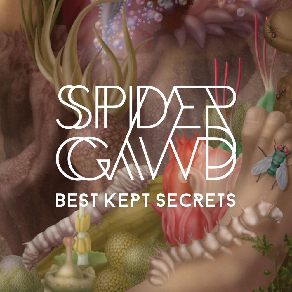 Picture of Best Kept Secrets