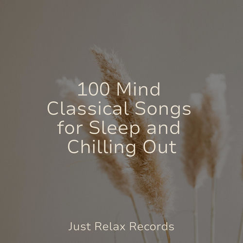 100 Mind Classical Songs for Sleep and Chilling Out