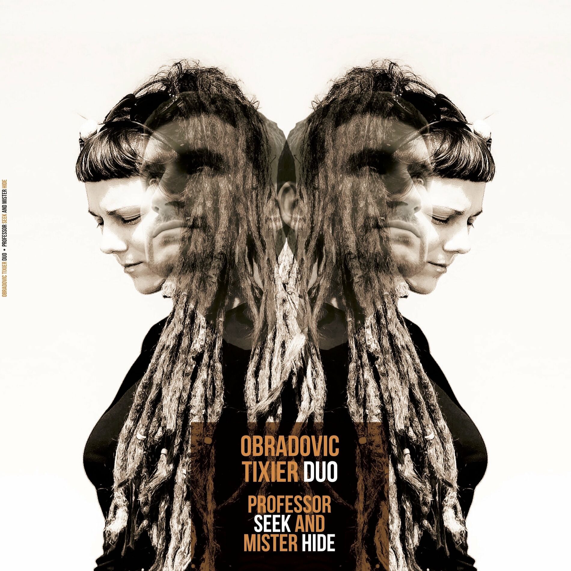 Album cover of Professor Seek and Mister Hide