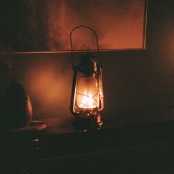 Cover of Steady Love