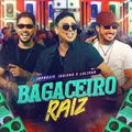 Bagaceiro Raiz
