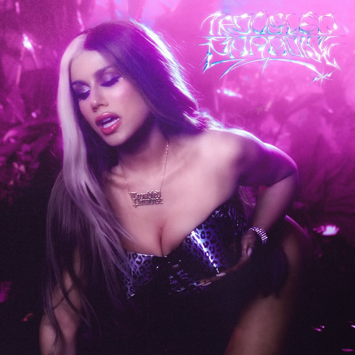Album cover of Troubled Paradise