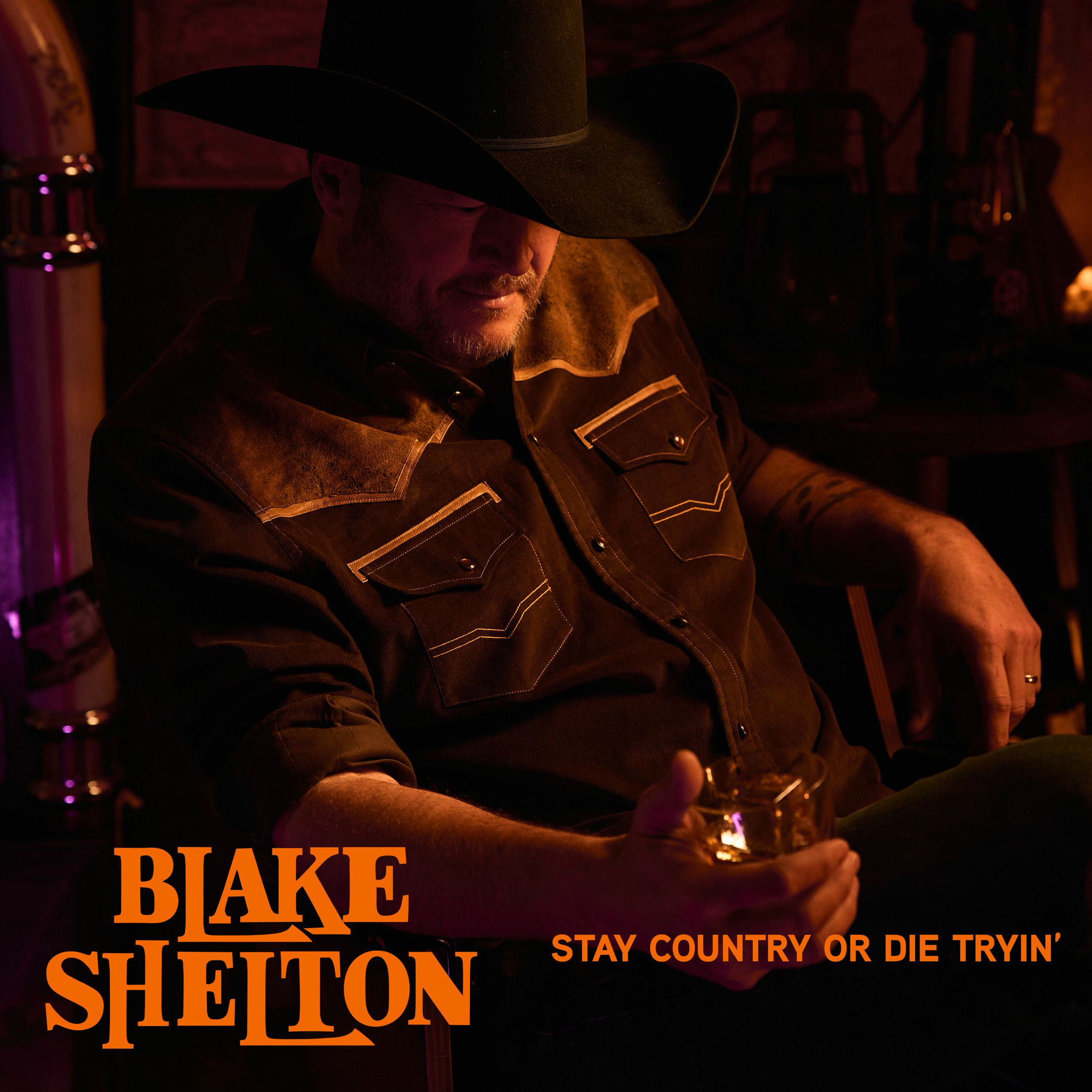 Album cover of Stay Country or Die Tryin'