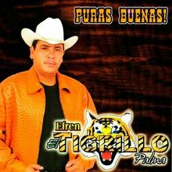Cover of Puras Buenas