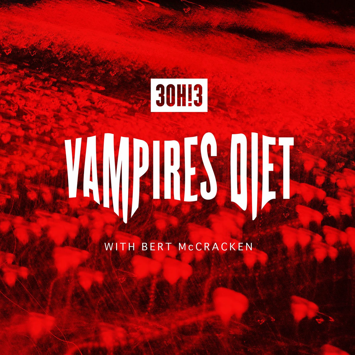 Album cover of VAMPIRE'S DIET
