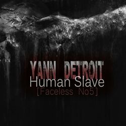Cover of Human Slave