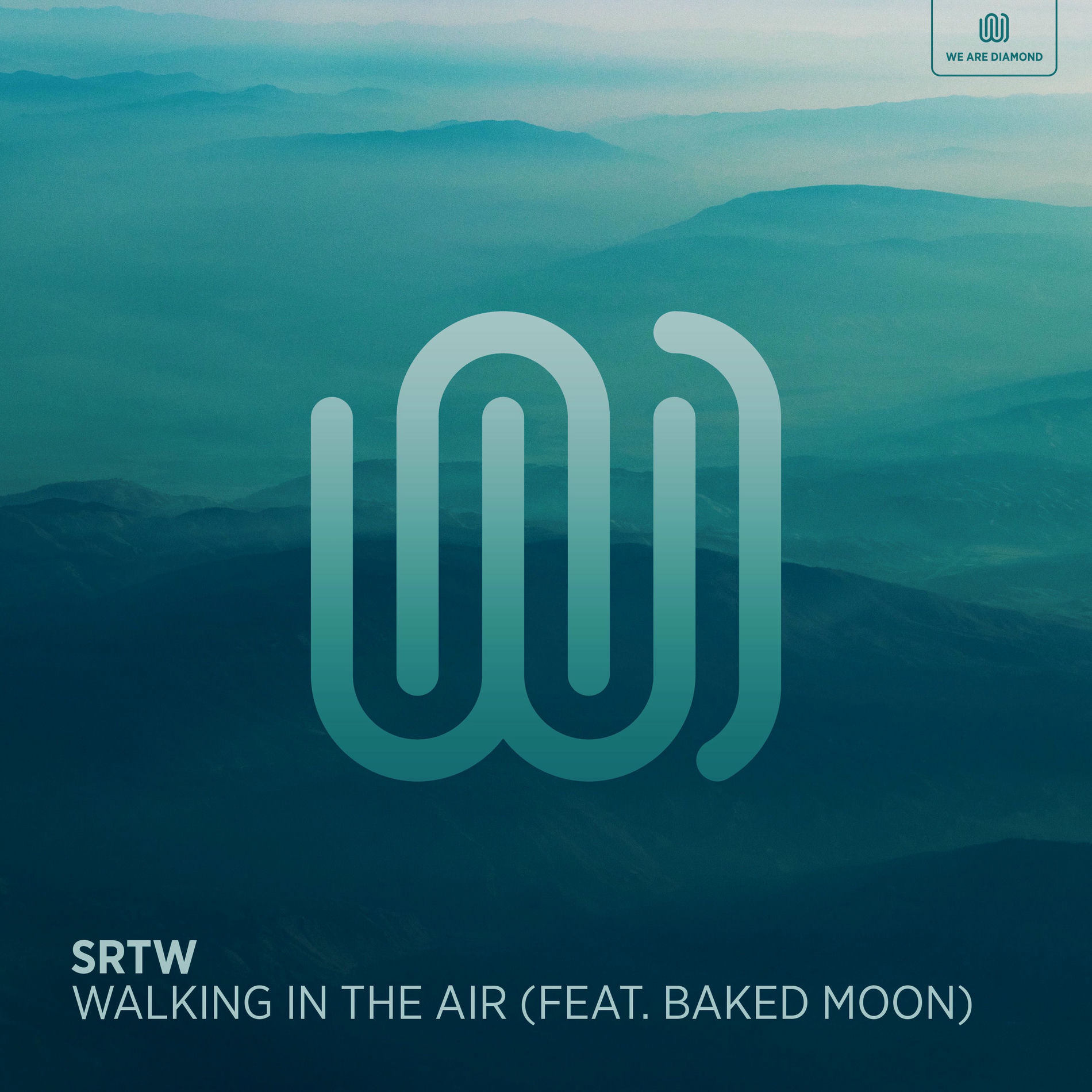 Album cover of Walking in The Air
