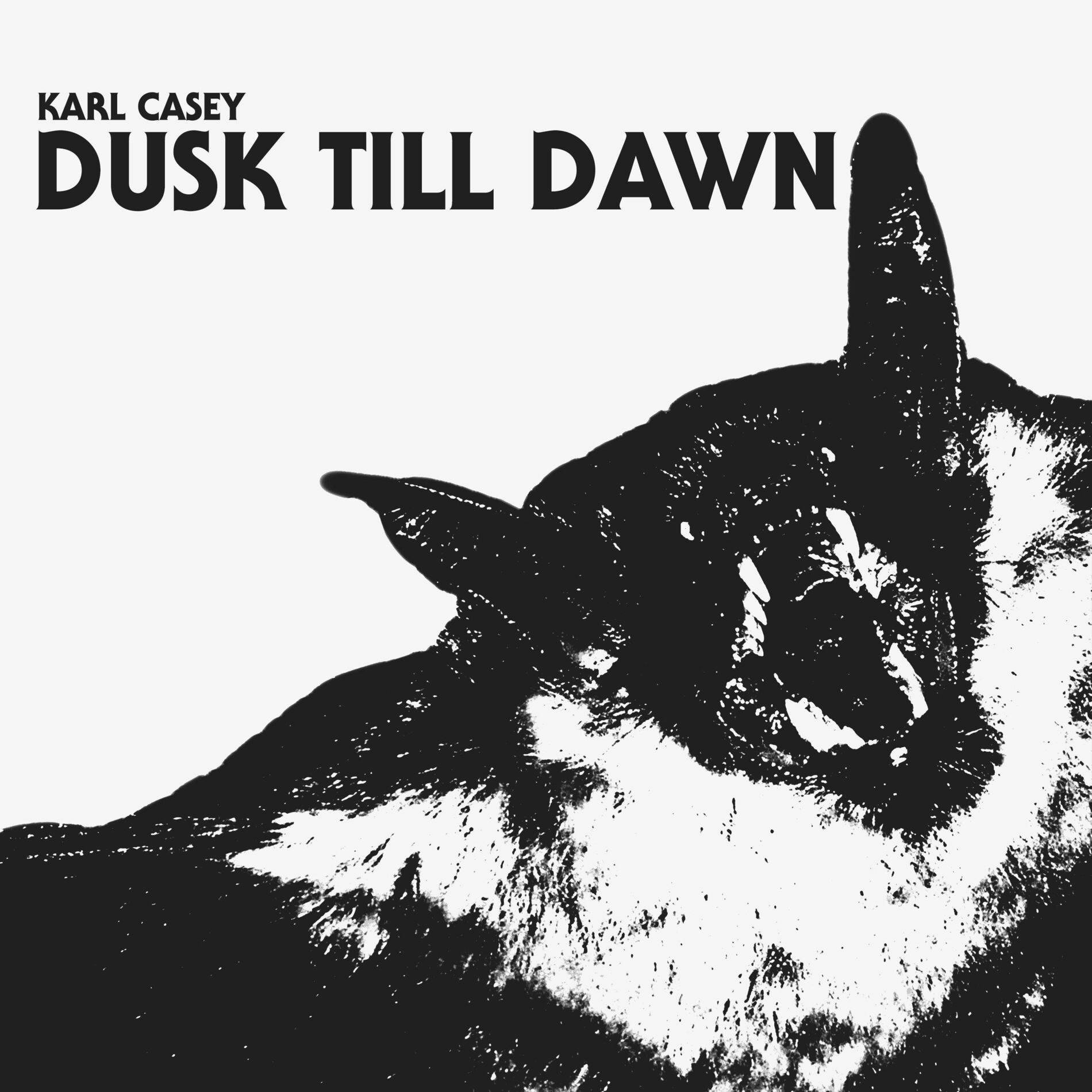 Album cover of Dusk Till Dawn