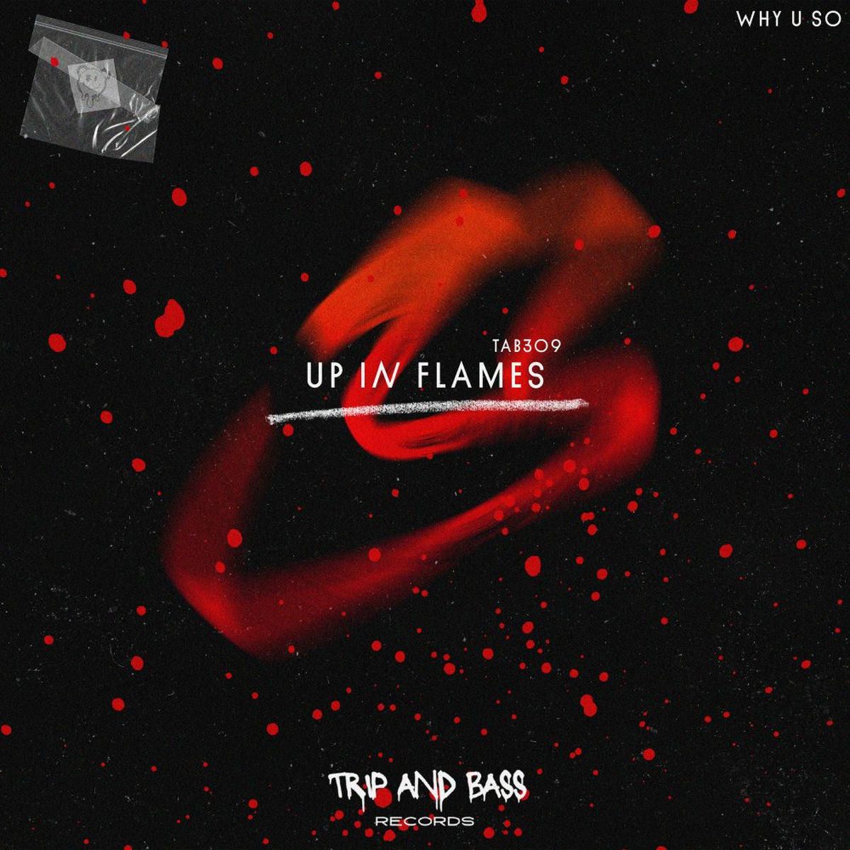 Album cover of Up In Flames