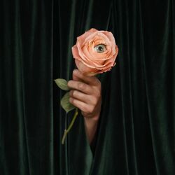 Cover of Unusual
