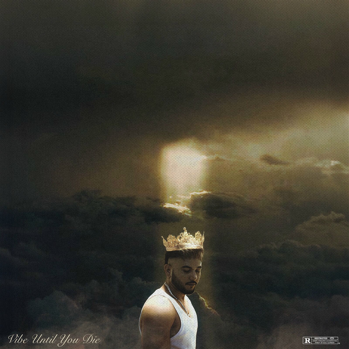 Album cover of Vibe Until You Die