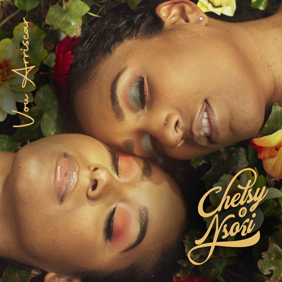 Album cover of Vou Arriscar