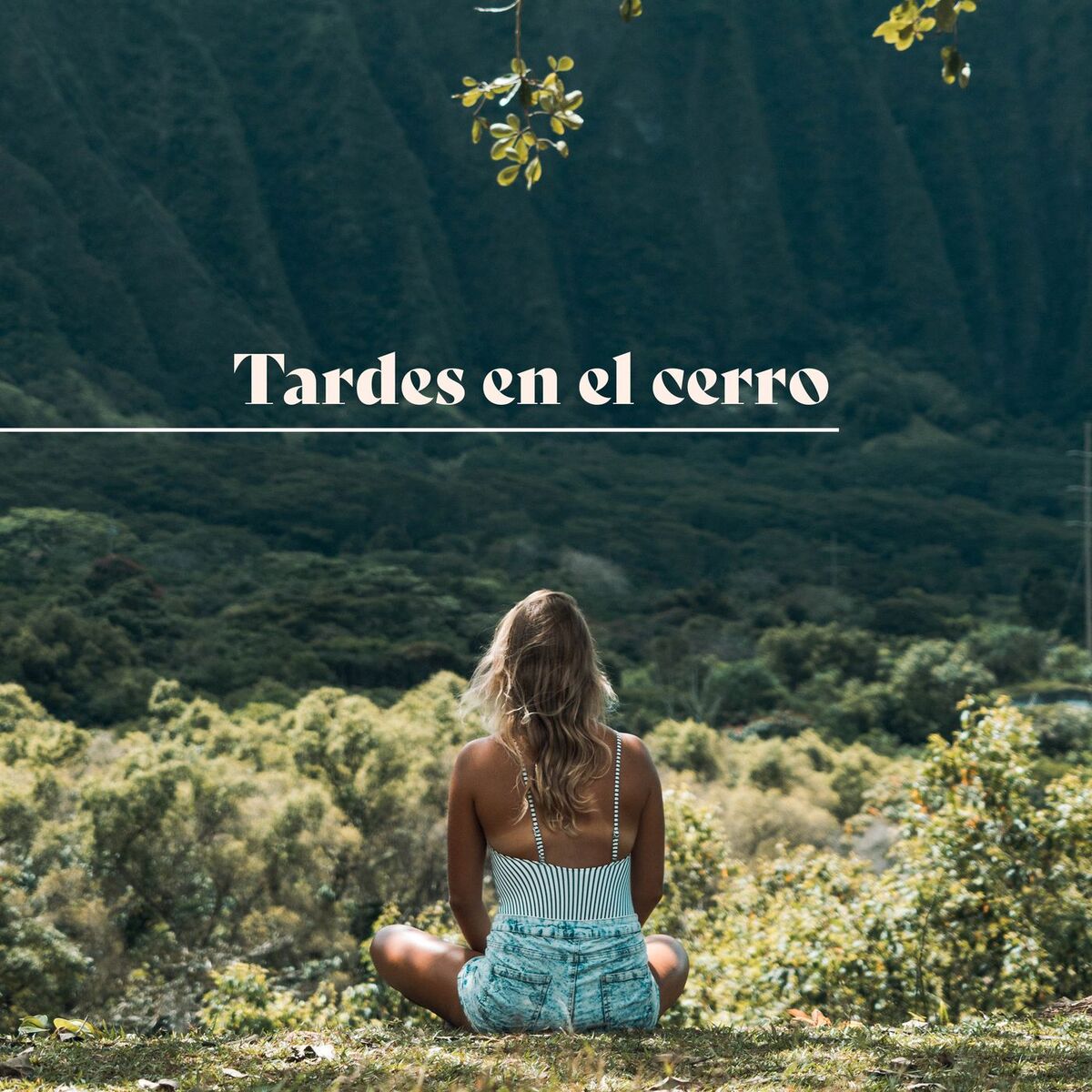 Album cover of Tardes en el cerro