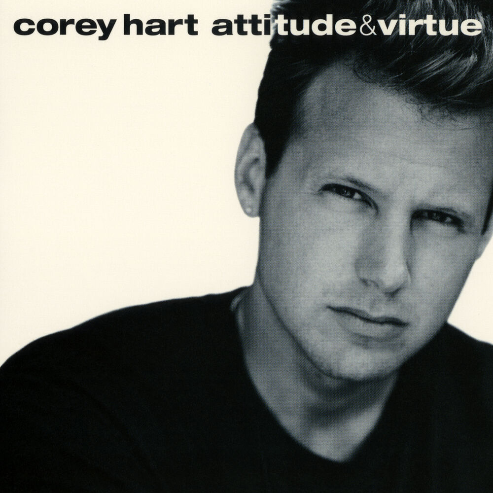 Picture of Attitude & Virtue