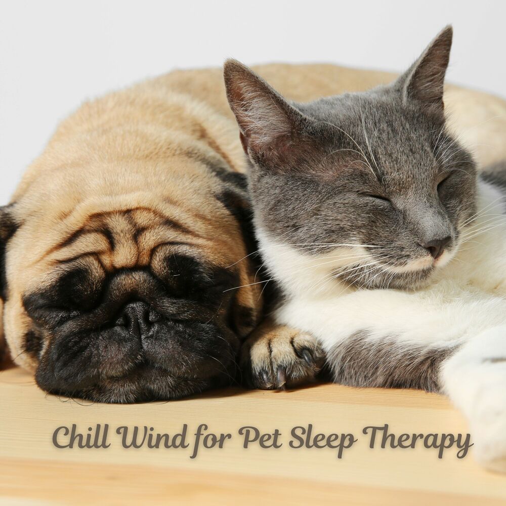 Picture of Chill Wind for Pet Sleep Therapy