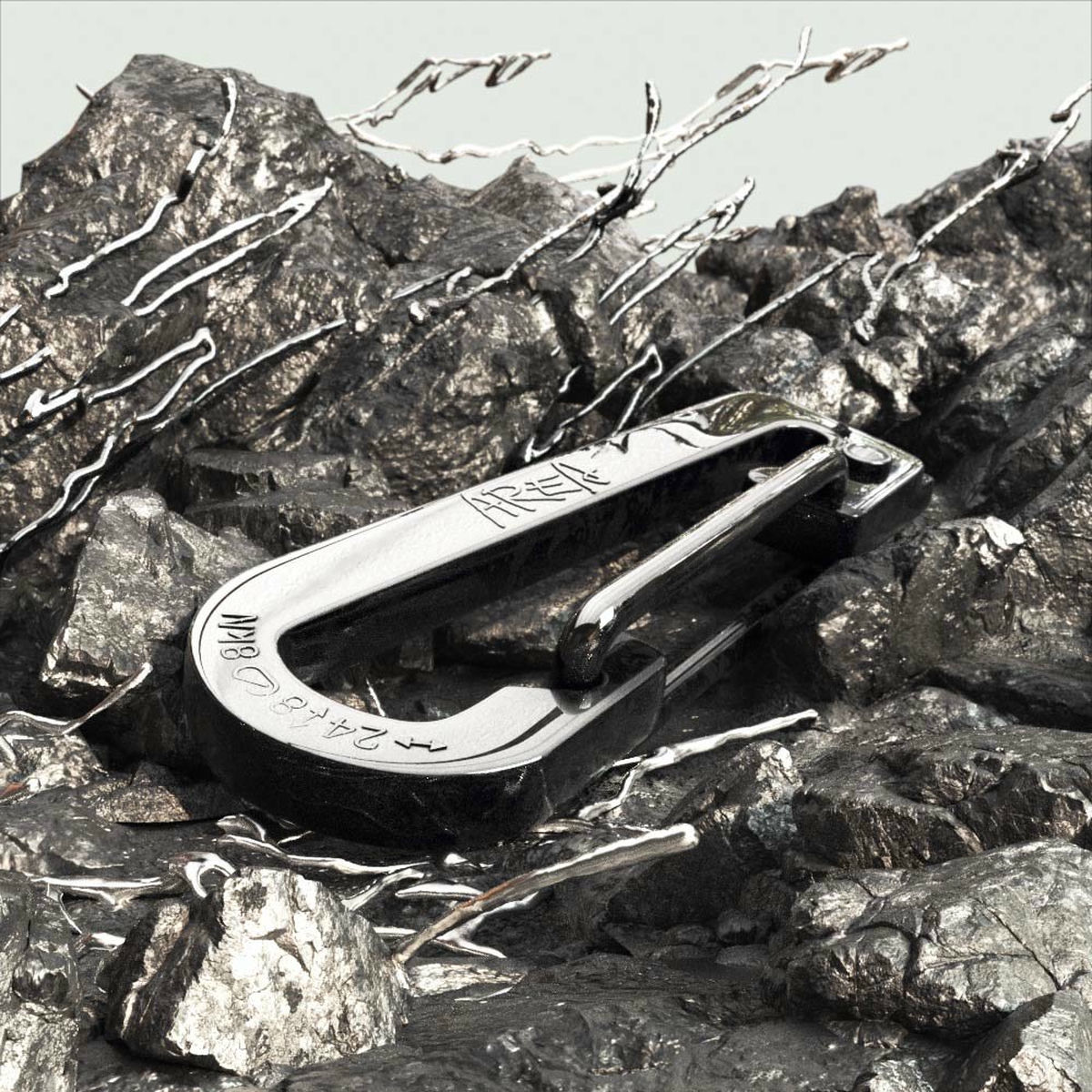 Album cover of Carabiner