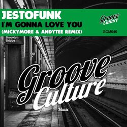 Cover of I'm Gonna Love You (Micky More & Andy Tee Remix)