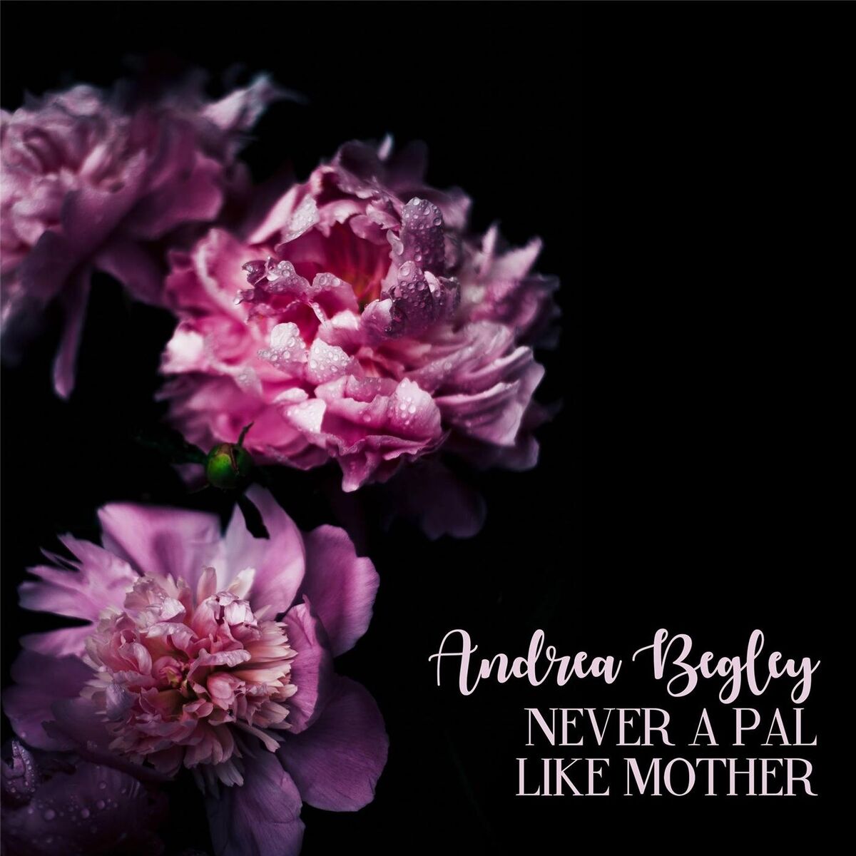 Album cover of Never a Pal Like Mother (Radio Edit)