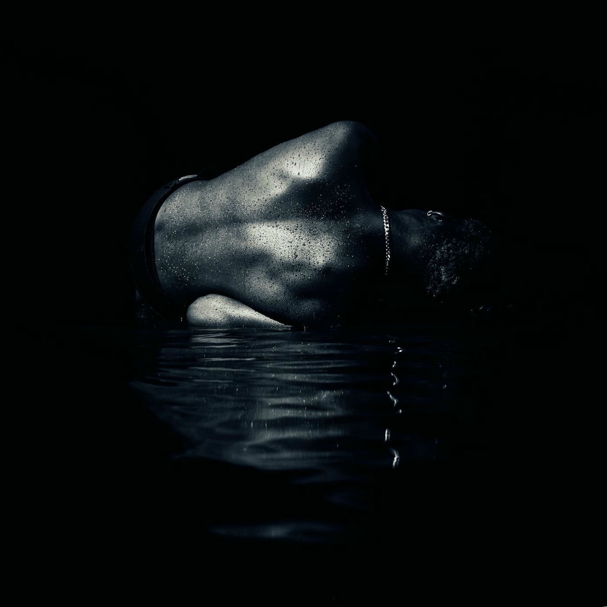 Album cover of Terre noire