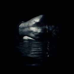 Cover of Terre noire