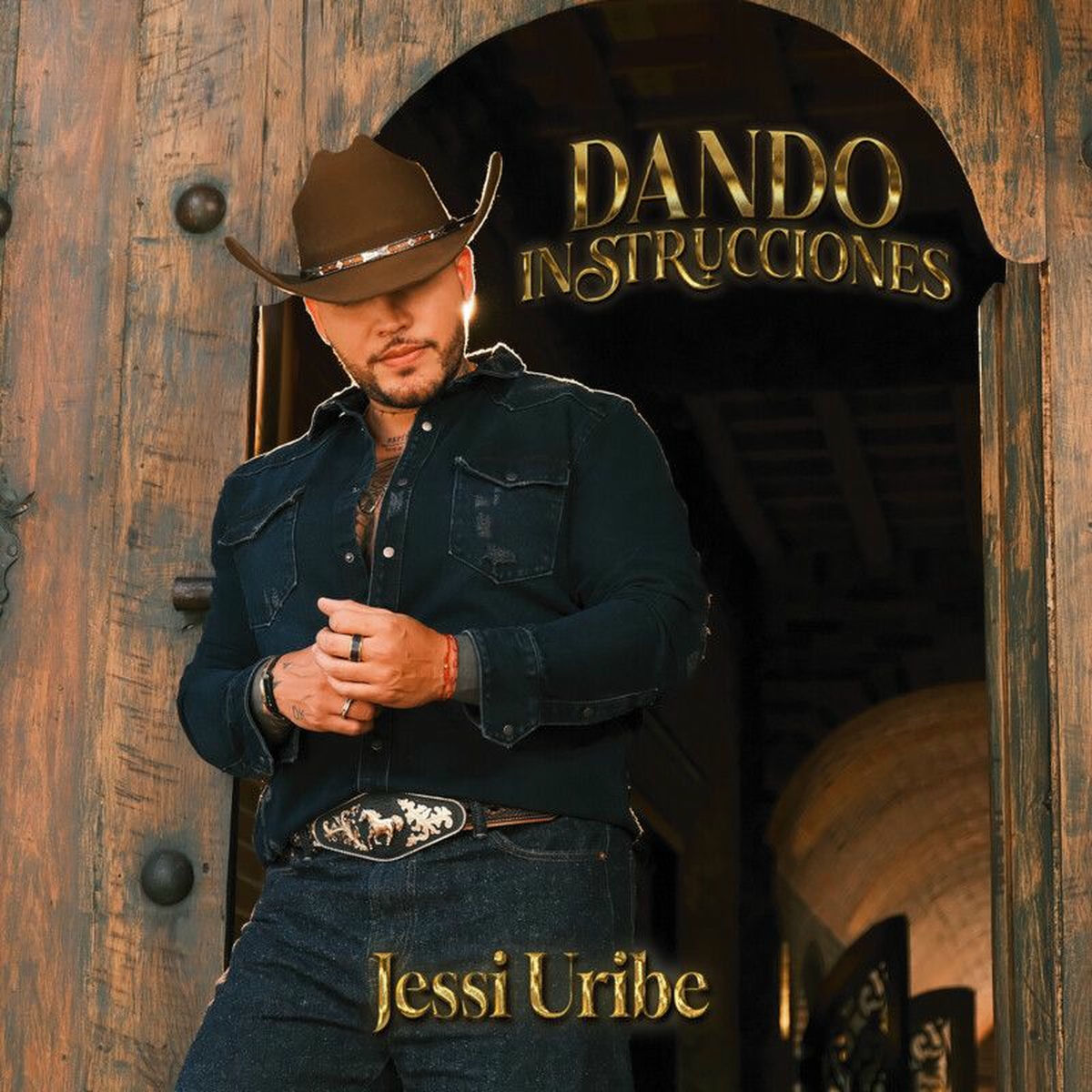 Album cover of Dando Instrucciones