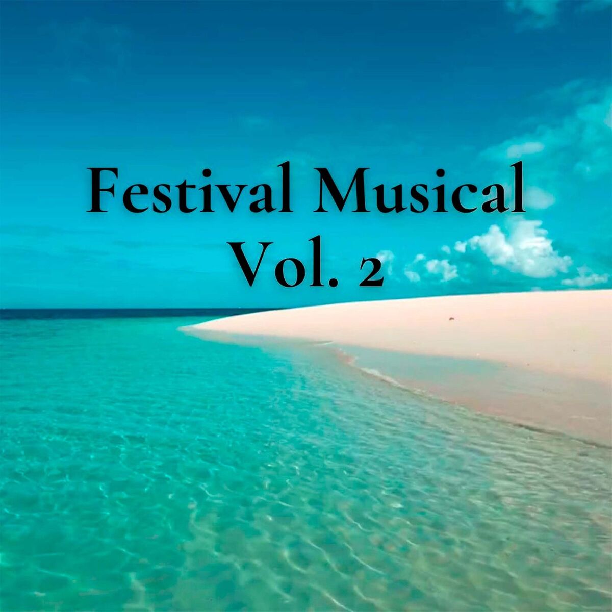 Album cover of Festival Musical Vol. 2