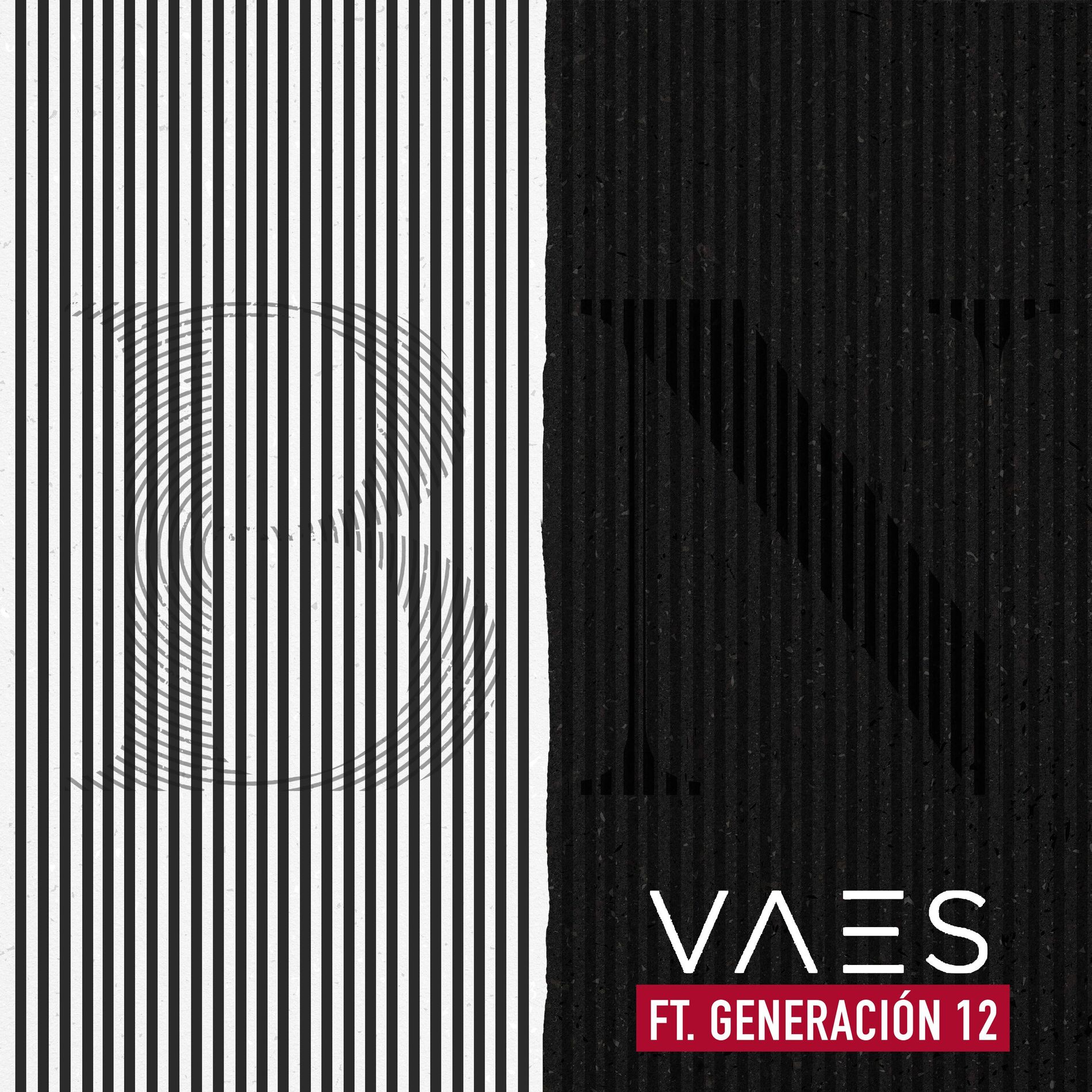 Album cover of Blanco y Negro