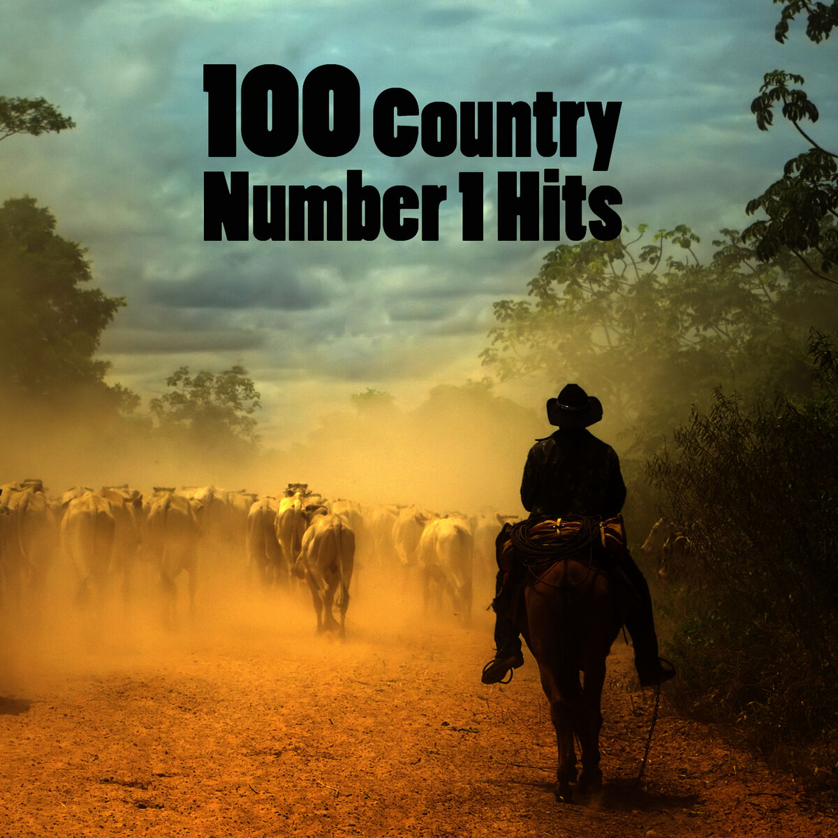 Album cover of 100 Country Number 1 Hits