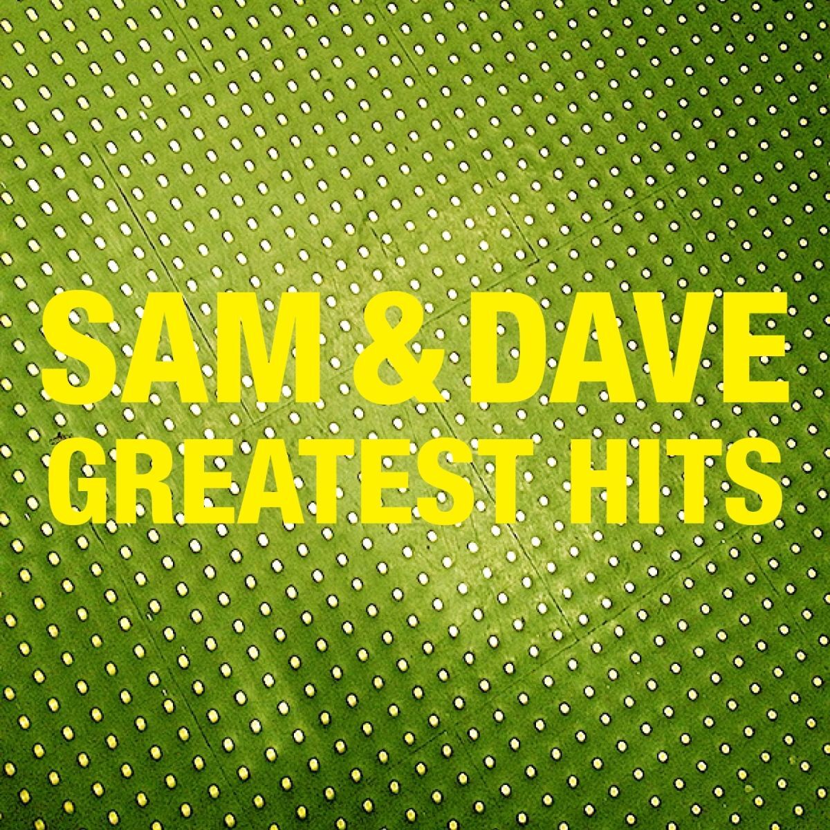 Album cover of Sam & Dave Greatest Hits