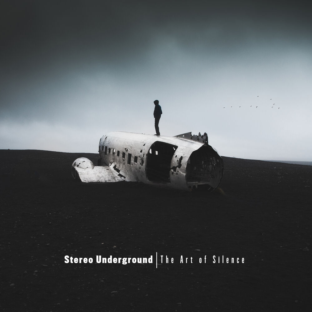 Picture of The Art of Silence