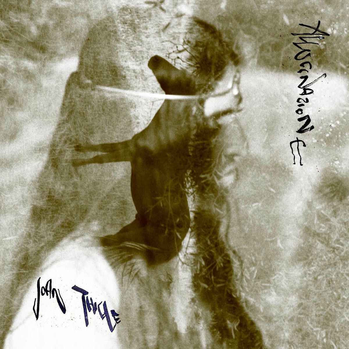 Album cover of Allucinazione