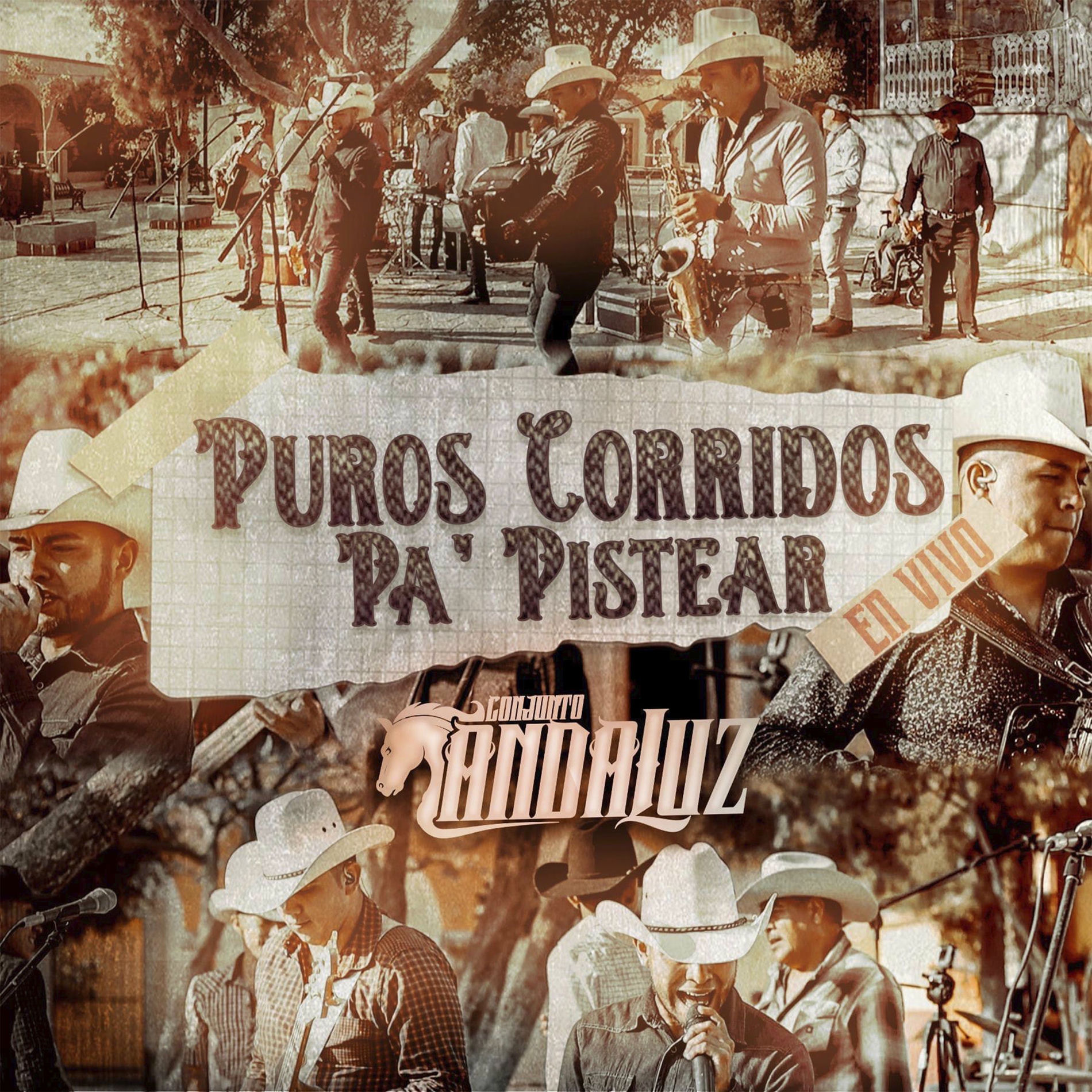 Album cover of Puros Corridos Pa´Pistiar