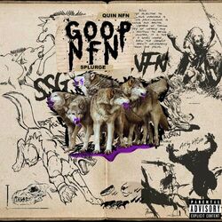 Cover of Goop NFN