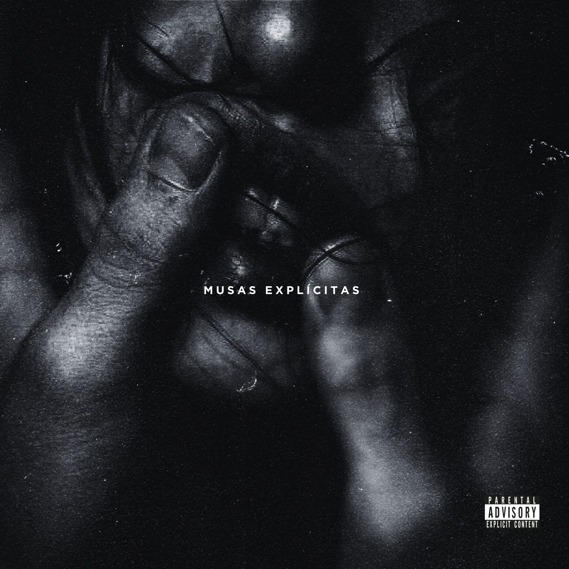 Album cover of Musas Explícitas