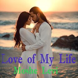 Cover of Love of My Life