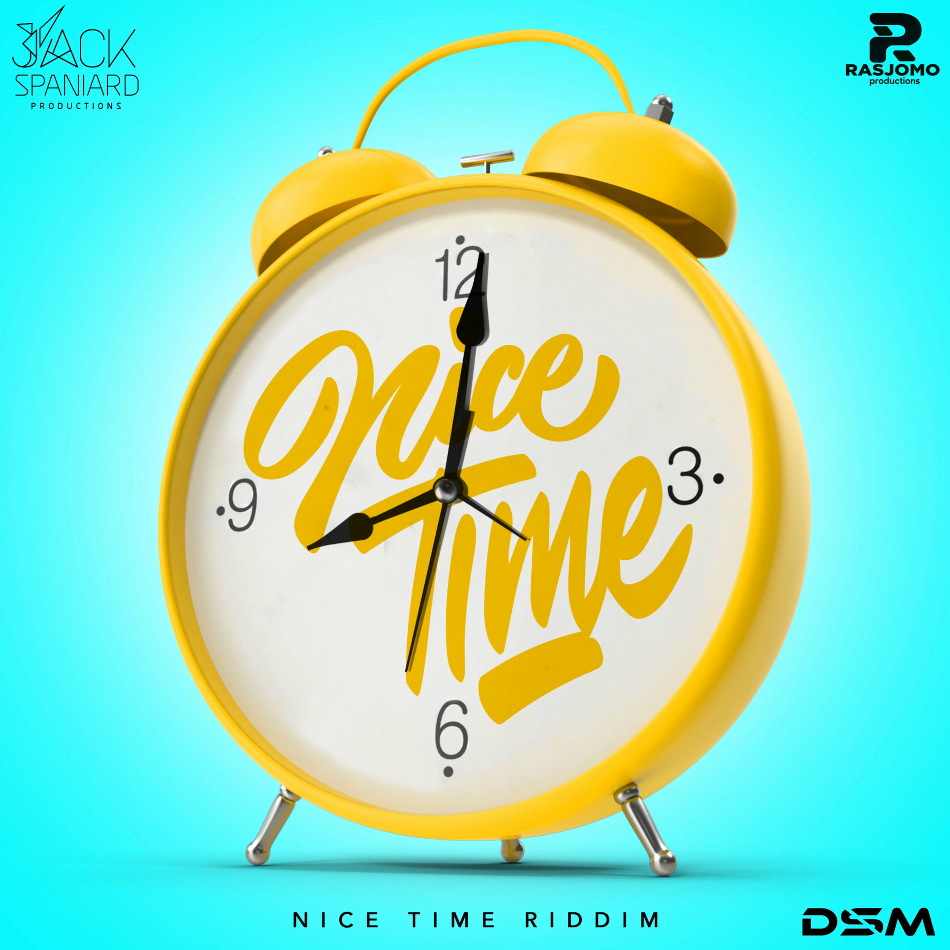 Album cover of Nice Time Riddim
