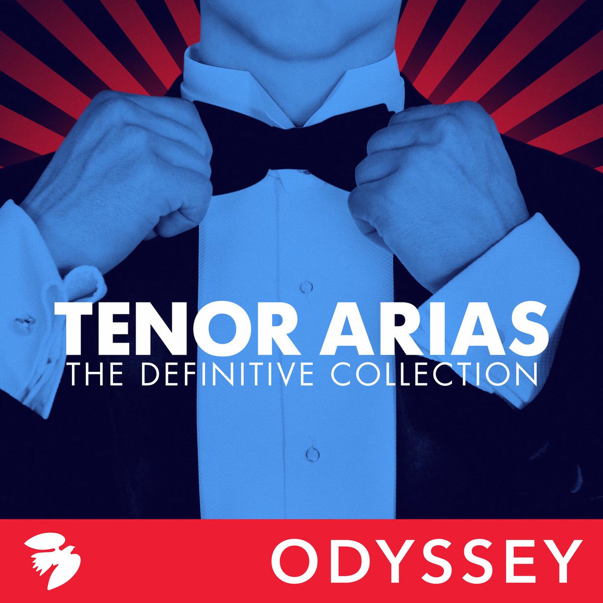 Album cover of Tenor Arias: The Definitive Collection