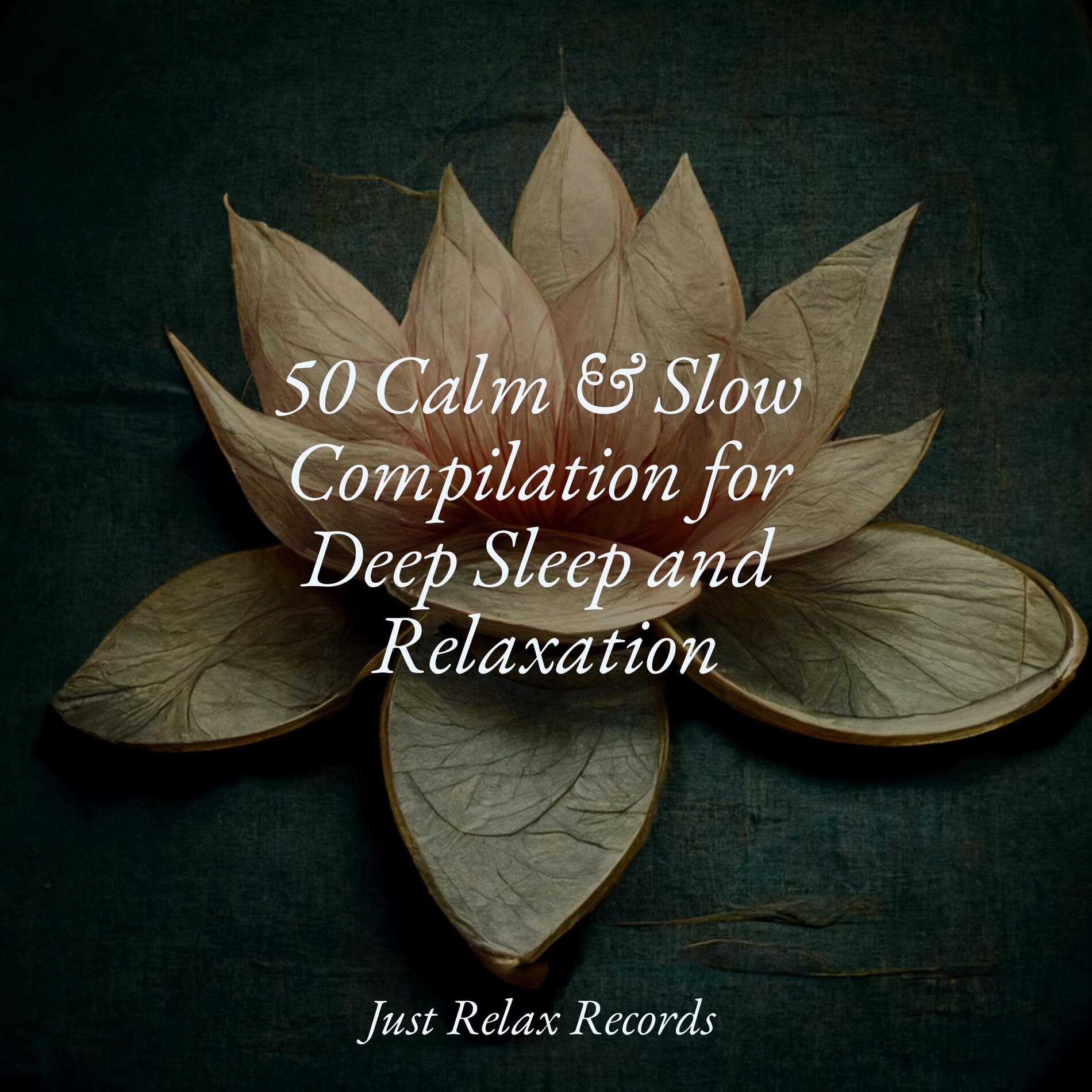 Album cover of 50 Calm & Slow Compilation for Deep Sleep and Relaxation