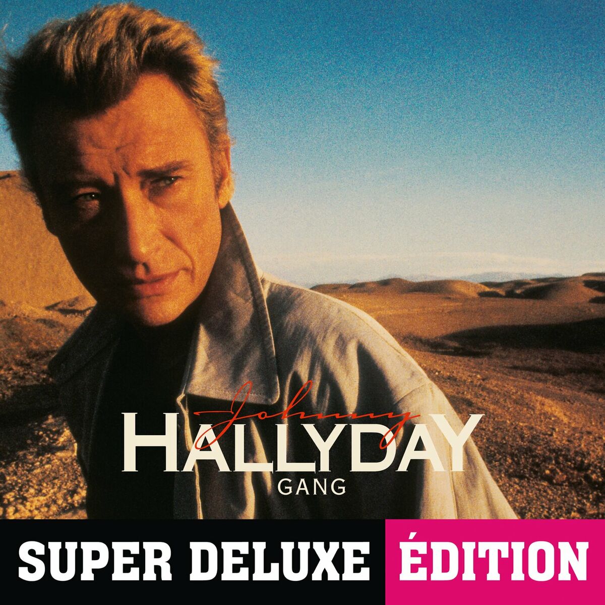 Album cover of L'envie