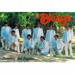 Cover of La Cumbia Del Sapito