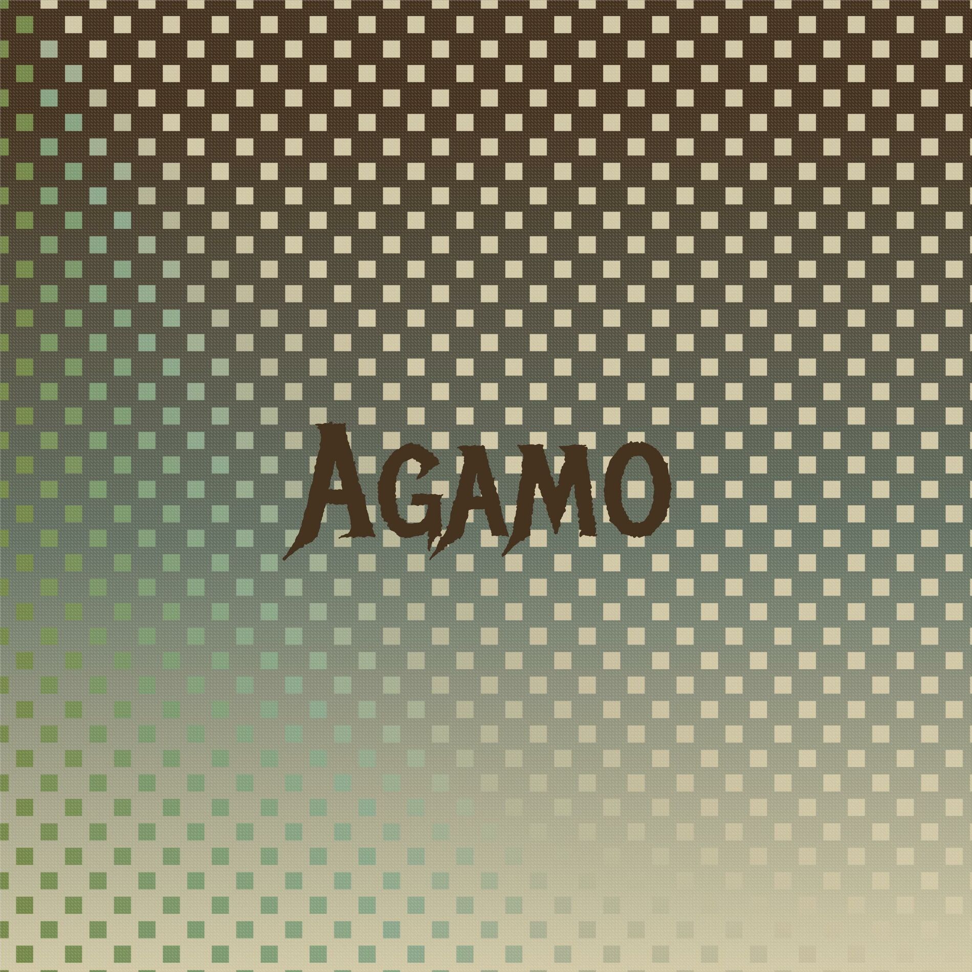 Album cover of Agamo