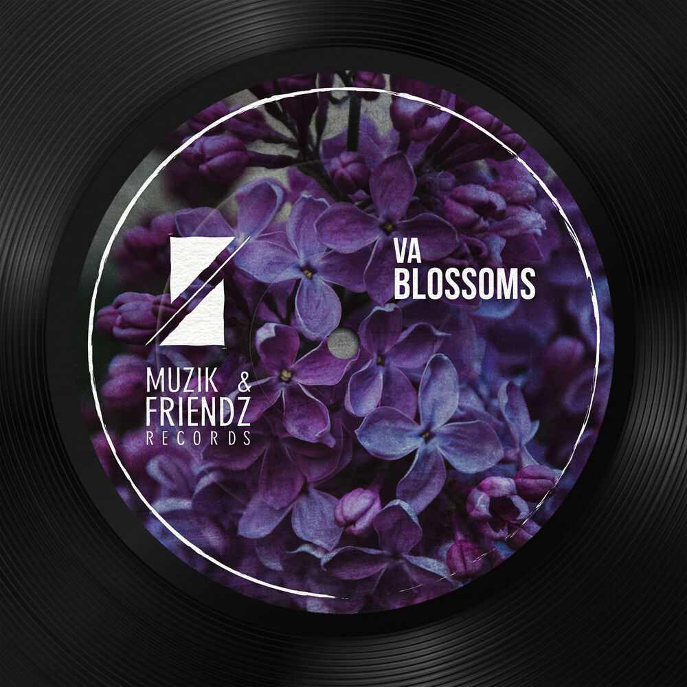 Picture of Blossoms