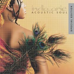 Cover of Acoustic Soul - Special Edition