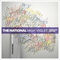 Terrible Love (Alternate Version) by The National album cover